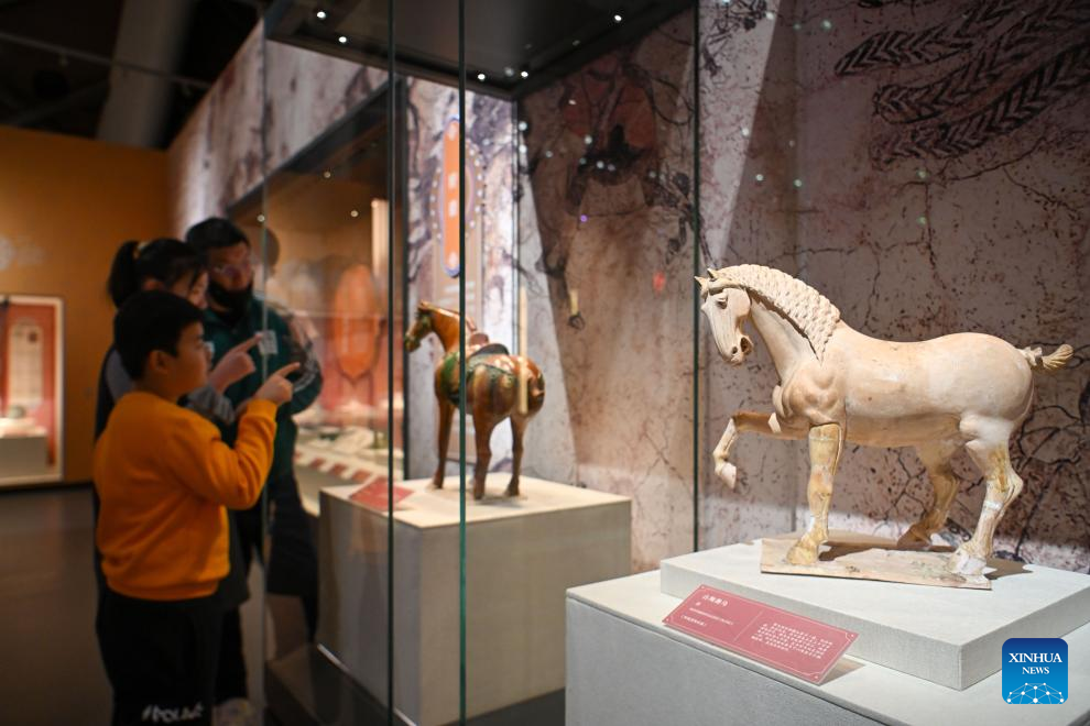 Exhibition on Tang Dynasty cultural relics in Shaanxi kicks off in Tianjin