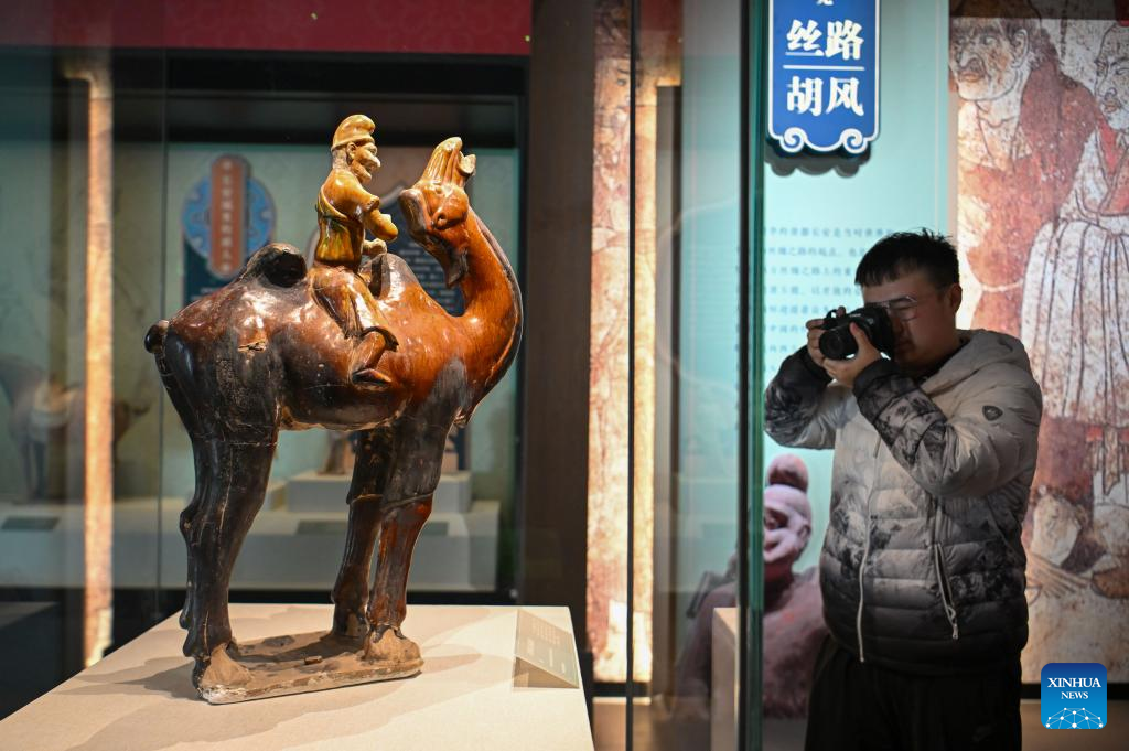 Exhibition on Tang Dynasty cultural relics in Shaanxi kicks off in Tianjin