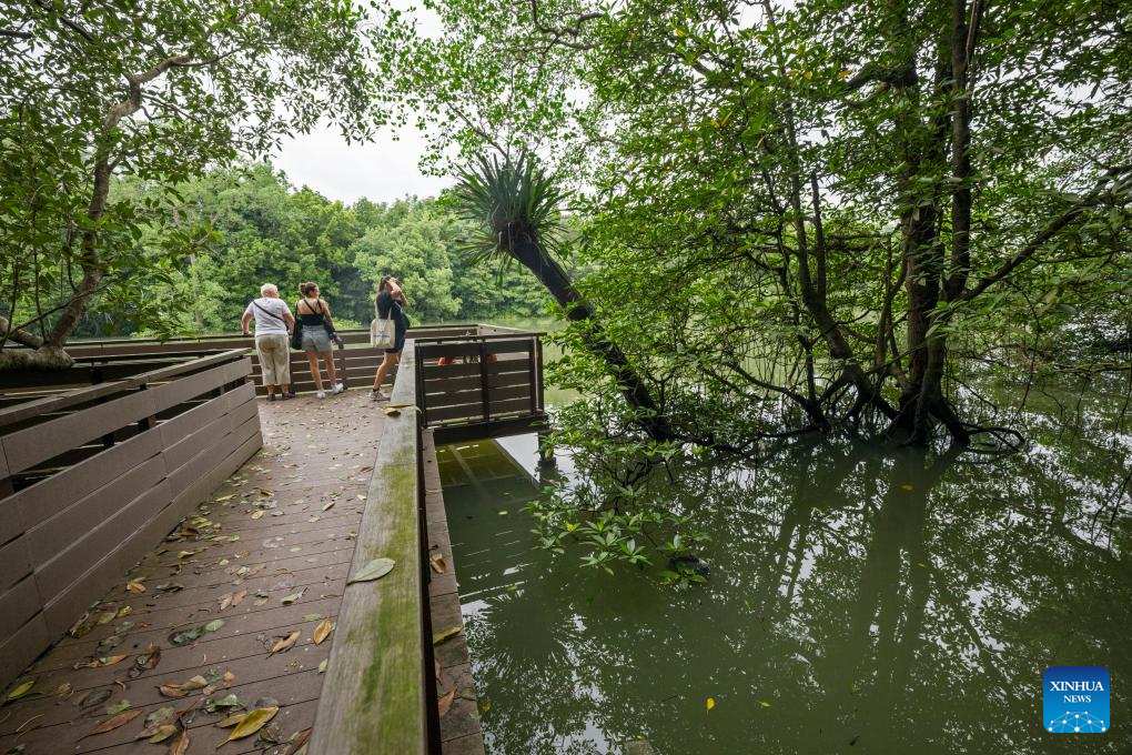 Tourists visit Singapore's Sungei Buloh Wetland Reserve