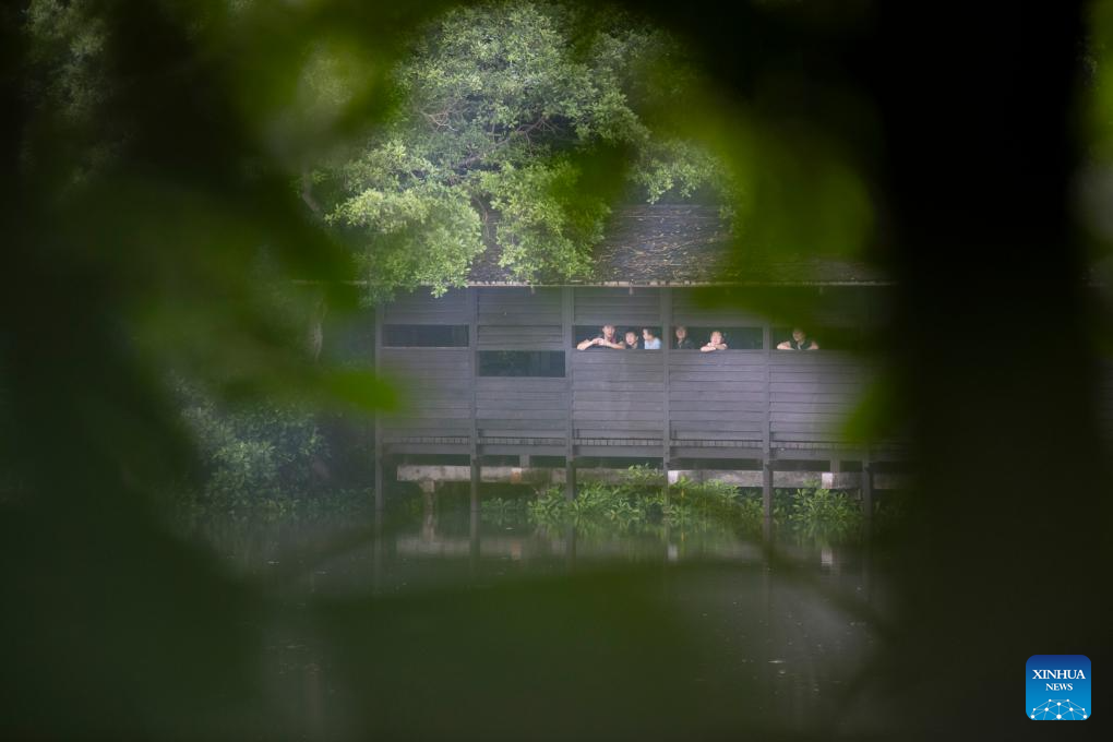 Tourists visit Singapore's Sungei Buloh Wetland Reserve