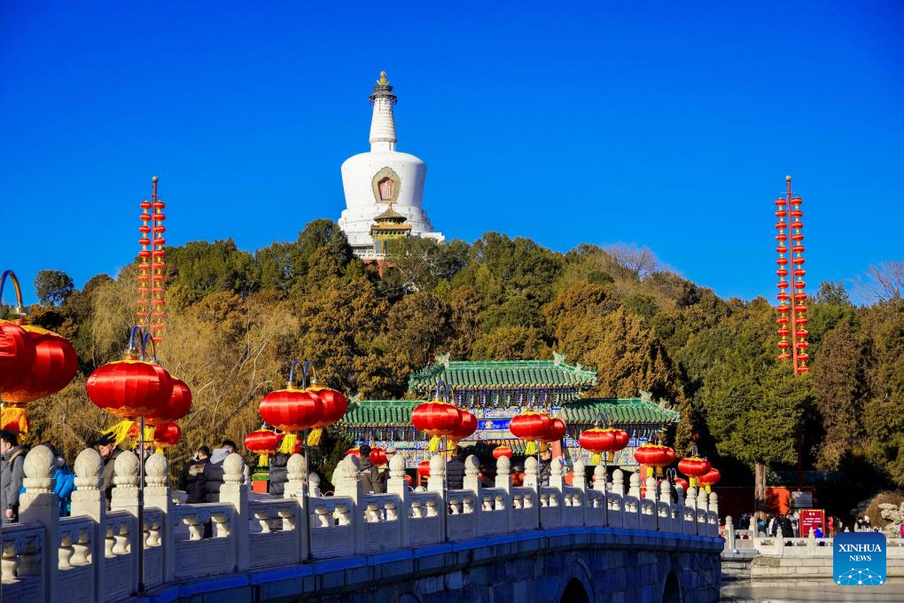 Lanterns, light installations arranged across China for upcoming Spring Festival