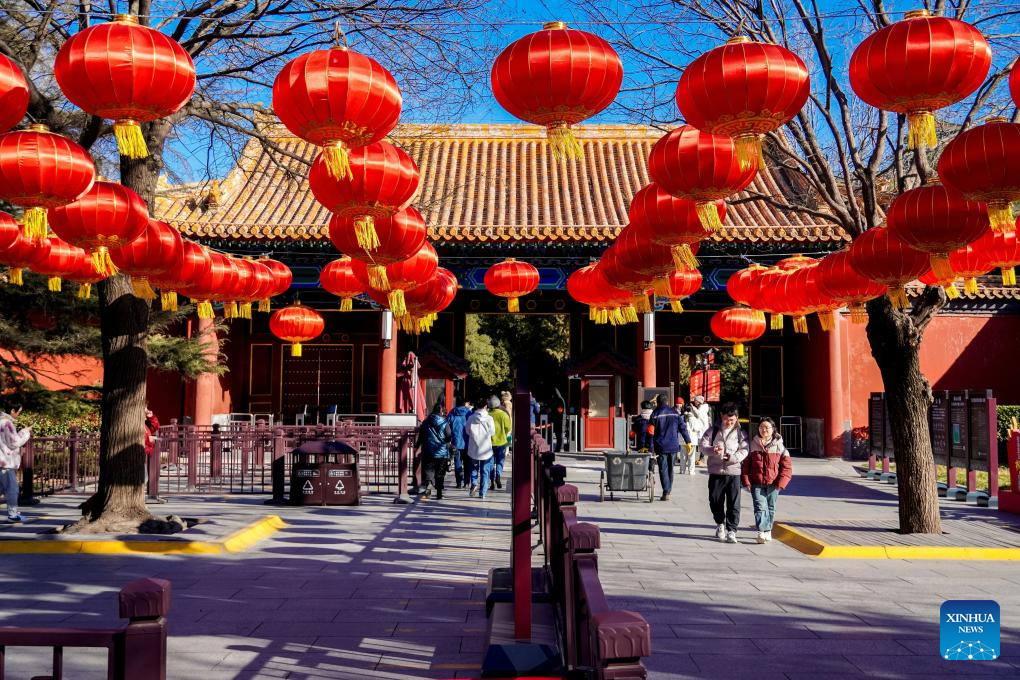 Lanterns, light installations arranged across China for upcoming Spring Festival