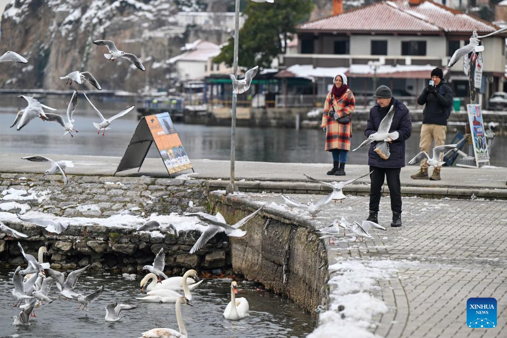 Birds seen at Lake Ohrid in North Macedonia