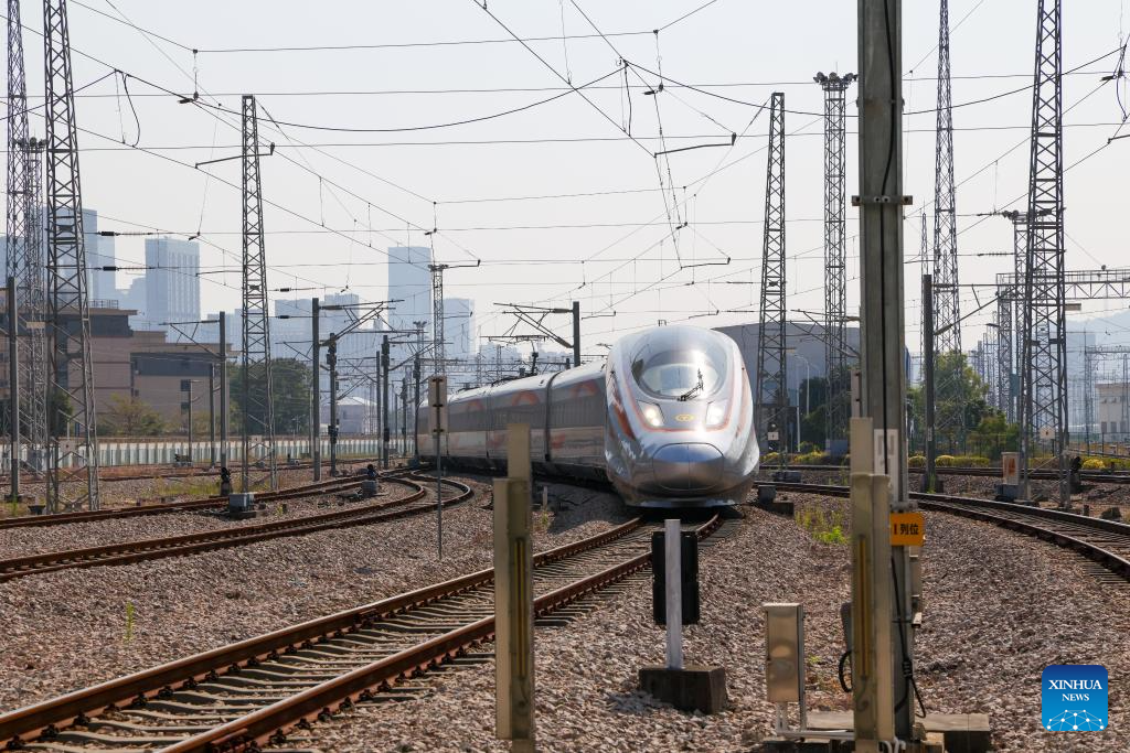 Intelligent technology used for maintenance of high-speed trains during Spring Festival travel rush