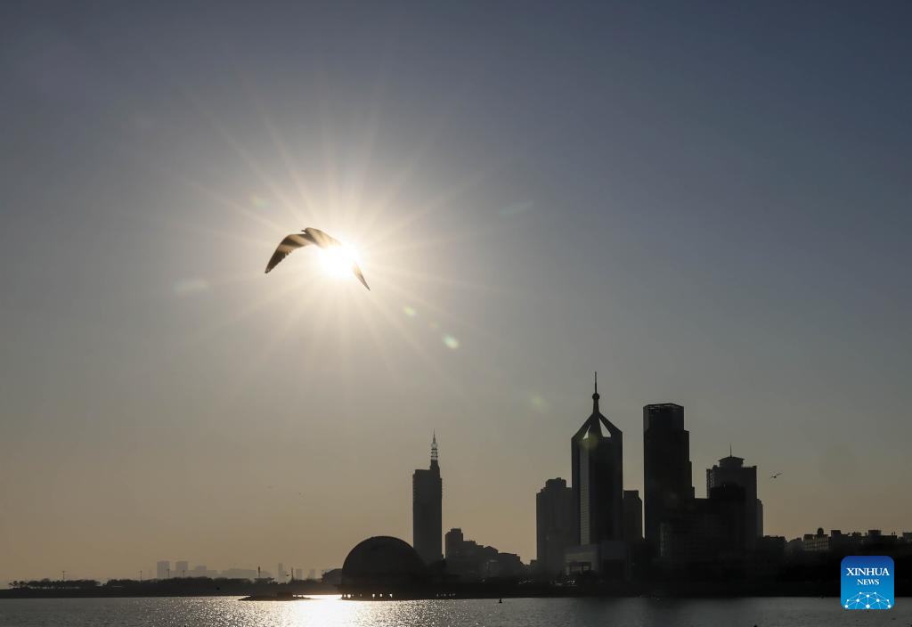 Seagulls seen at Zhanqiao Bridge scenic spot in Qingdao