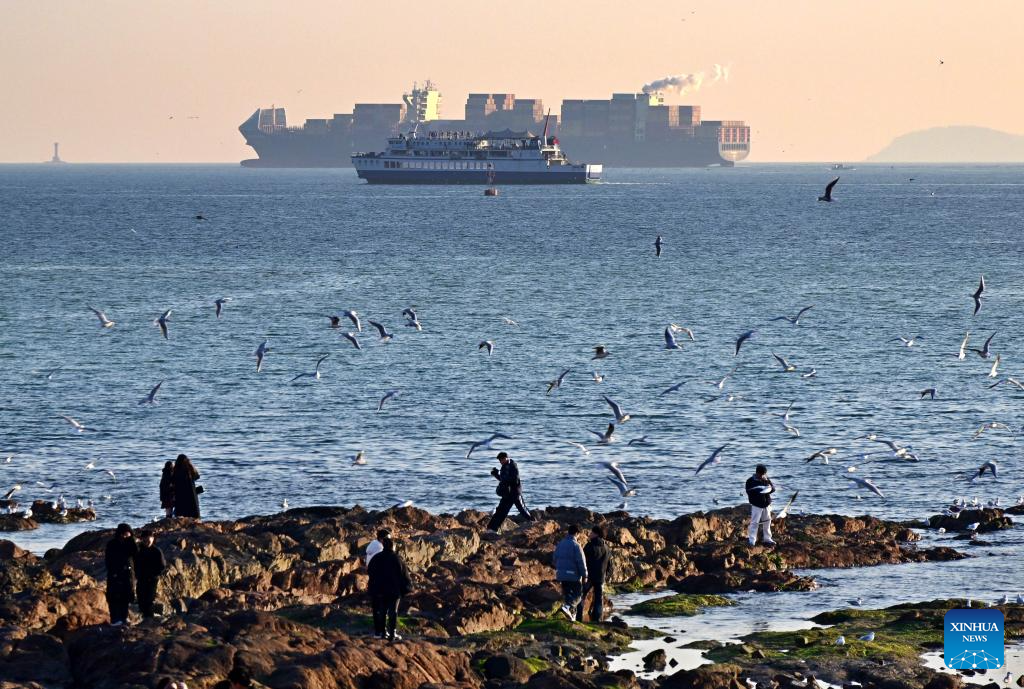 Seagulls seen at Zhanqiao Bridge scenic spot in Qingdao