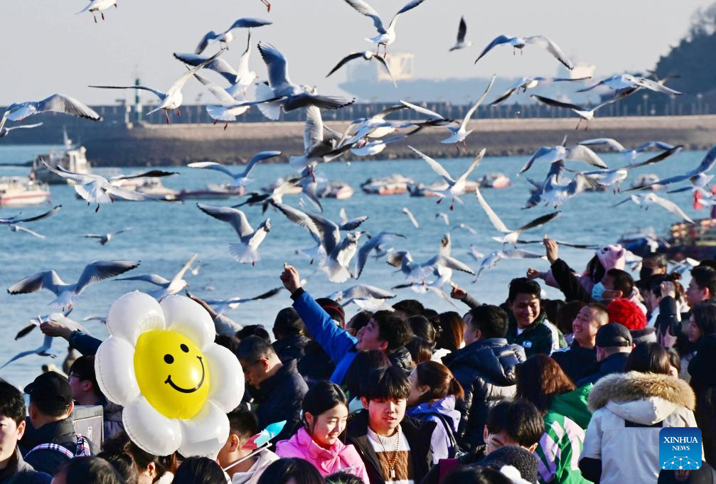 Seagulls seen at Zhanqiao Bridge scenic spot in Qingdao