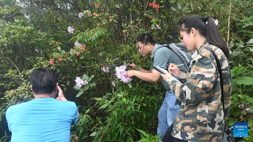 New Rhododendron species discovered in south China