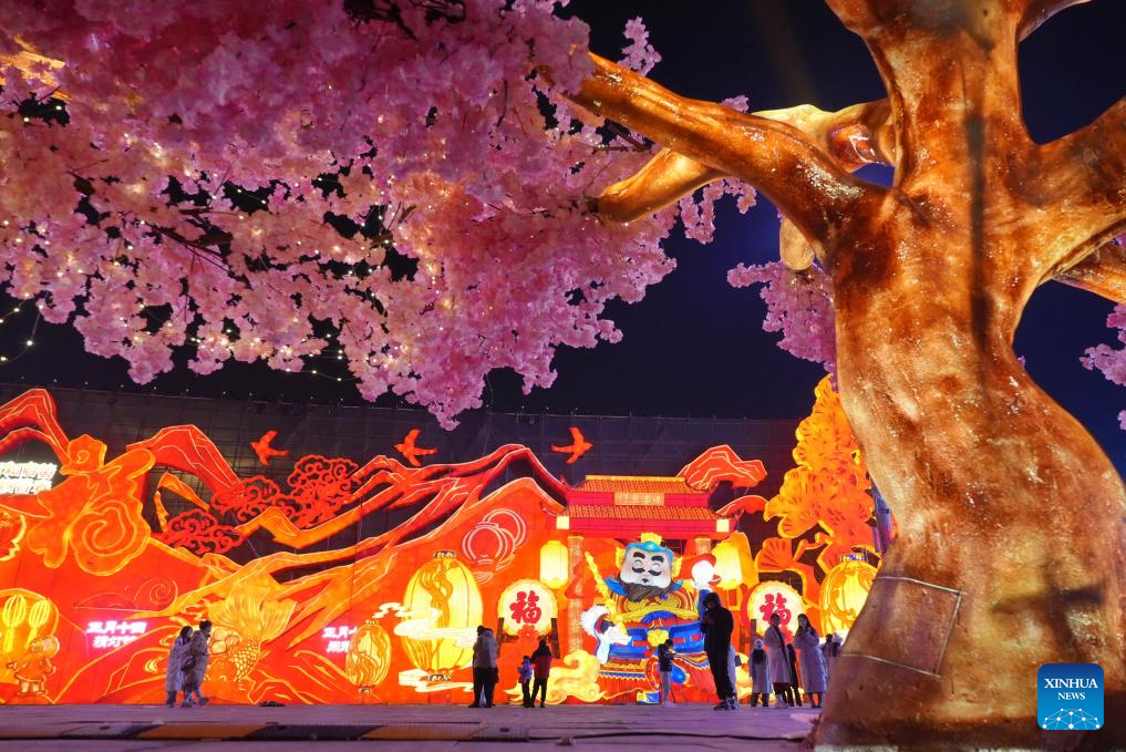 2025 Tangshan Nanhu Spring Festival lantern fair opens