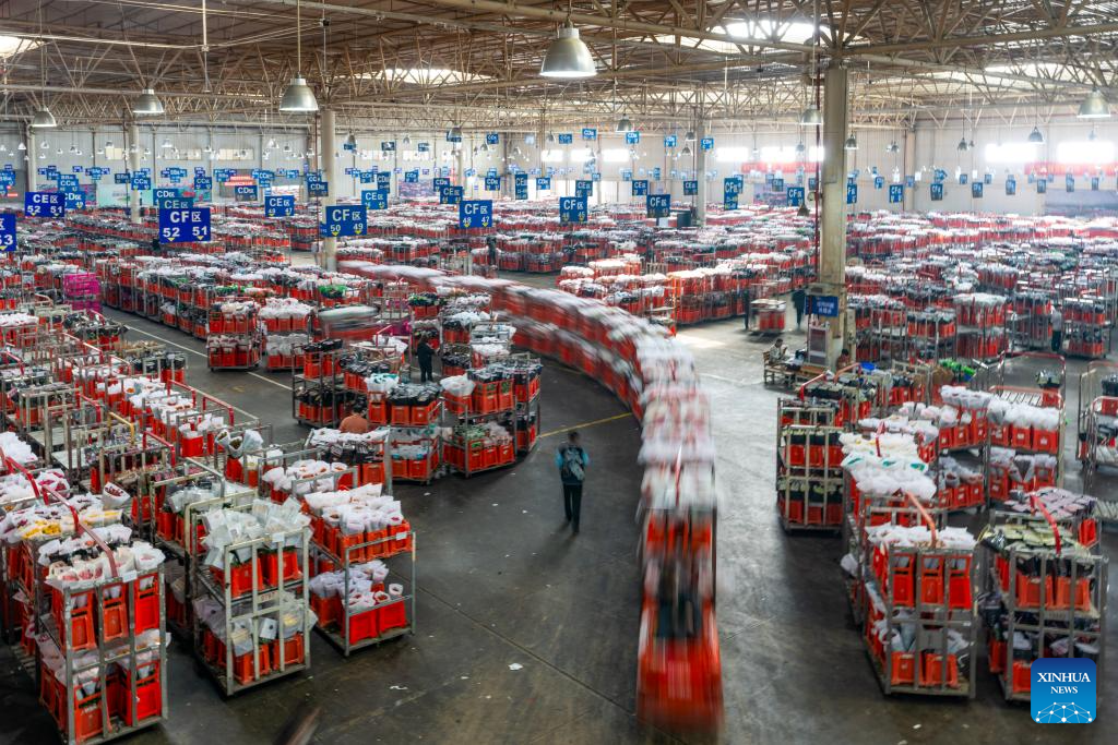 Flower markets in Kunming enter peak sales season as Spring Festival approaches