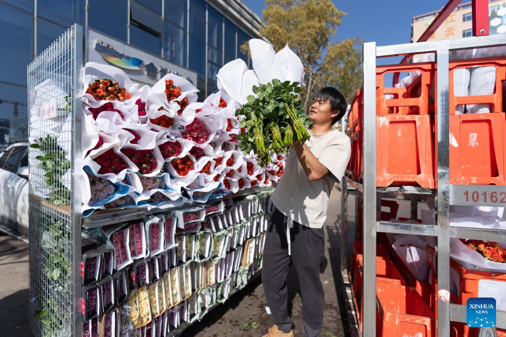 Flower markets in Kunming enter peak sales season as Spring Festival approaches