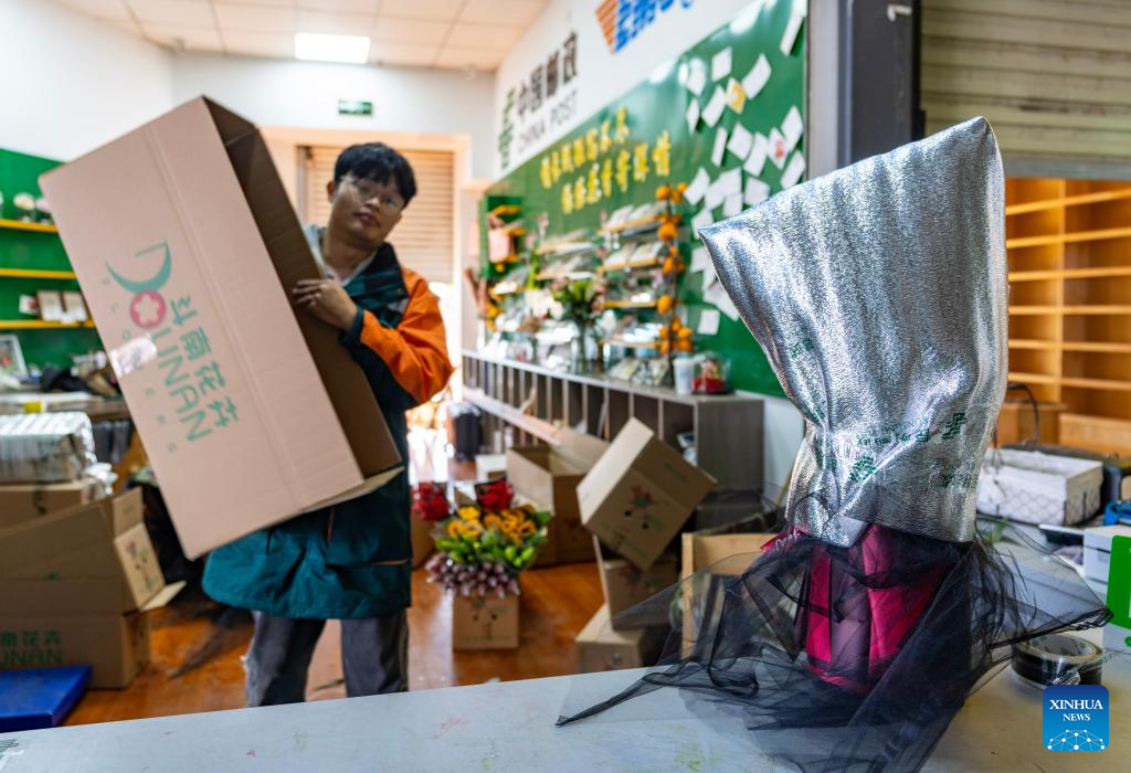 Flower markets in Kunming enter peak sales season as Spring Festival approaches