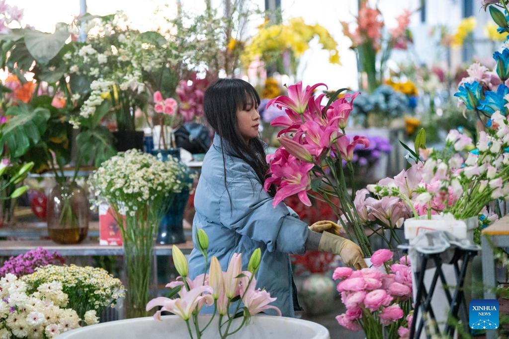 Flower markets in Kunming enter peak sales season as Spring Festival approaches