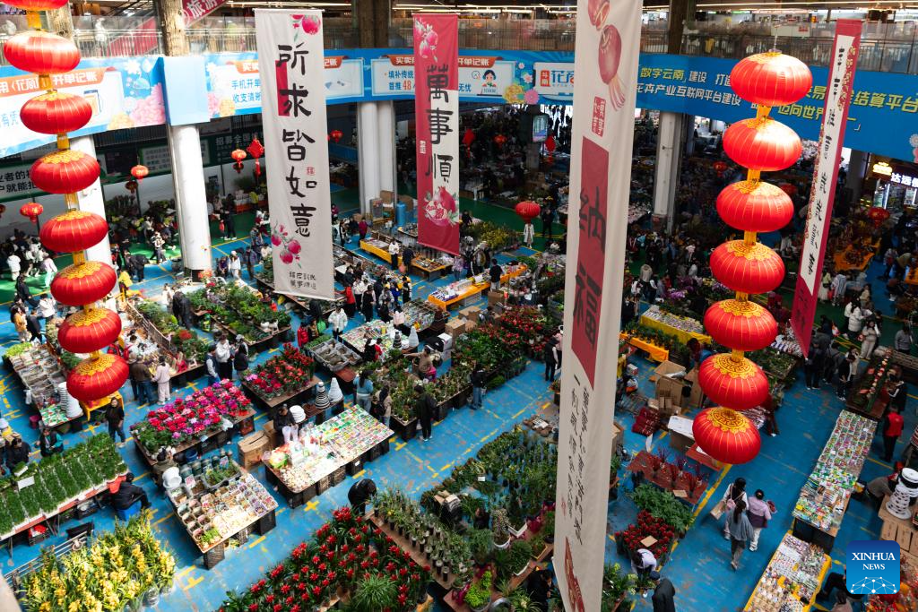 Flower markets in Kunming enter peak sales season as Spring Festival approaches