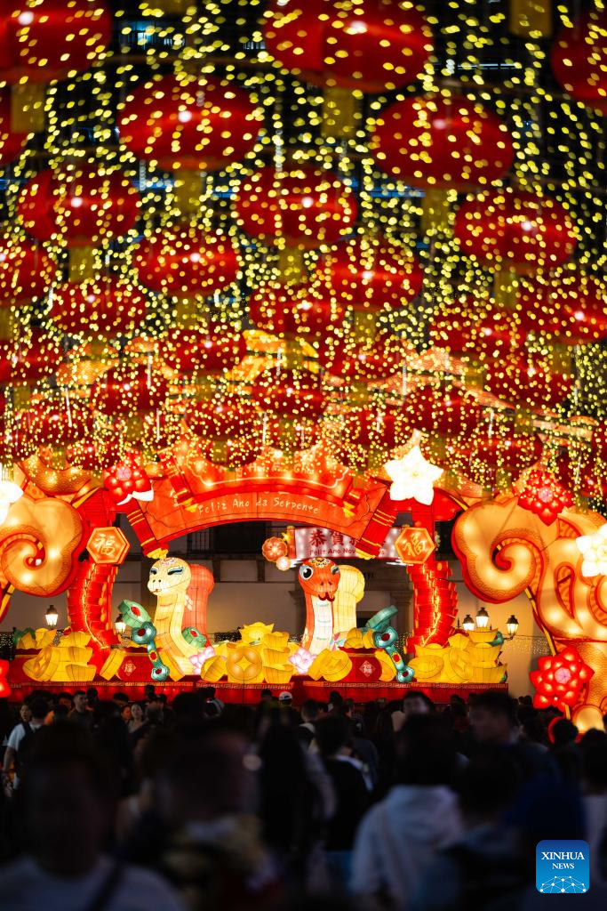 In pics: light installations in celebration of upcoming Spring Festival in Macao