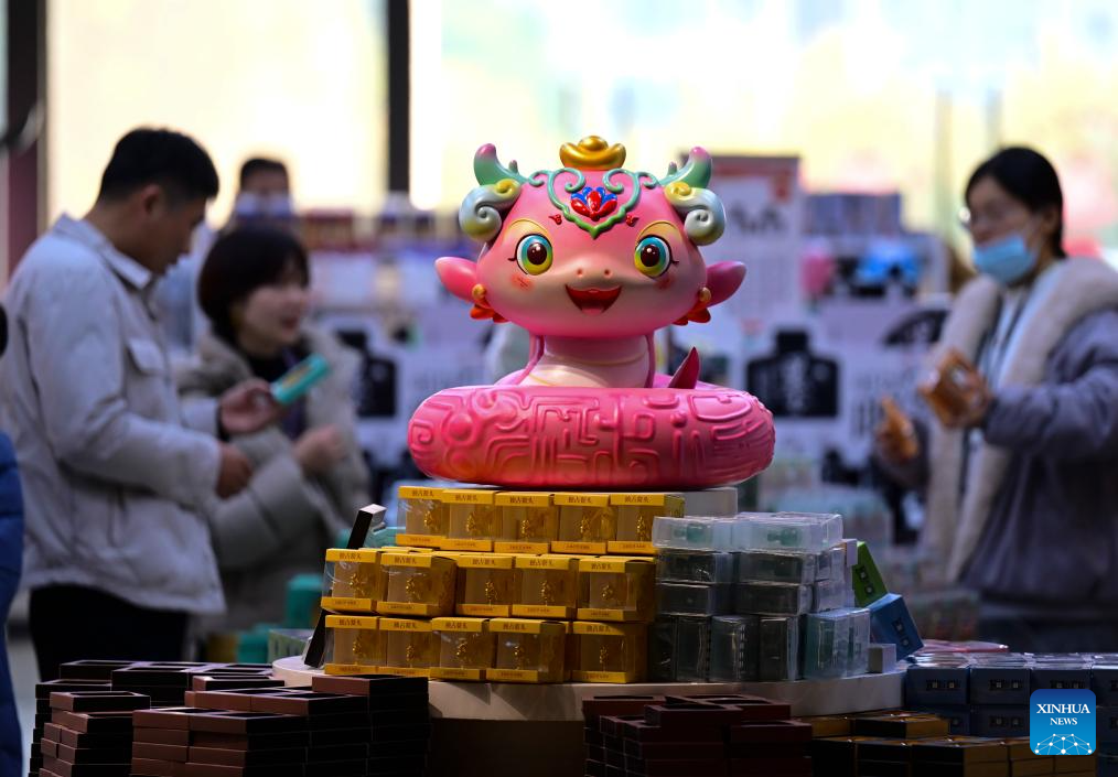 Celebrating Spring Festival in museums becomes new trend in China