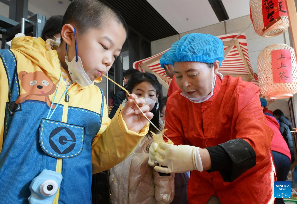 Celebrating Spring Festival in museums becomes new trend in China