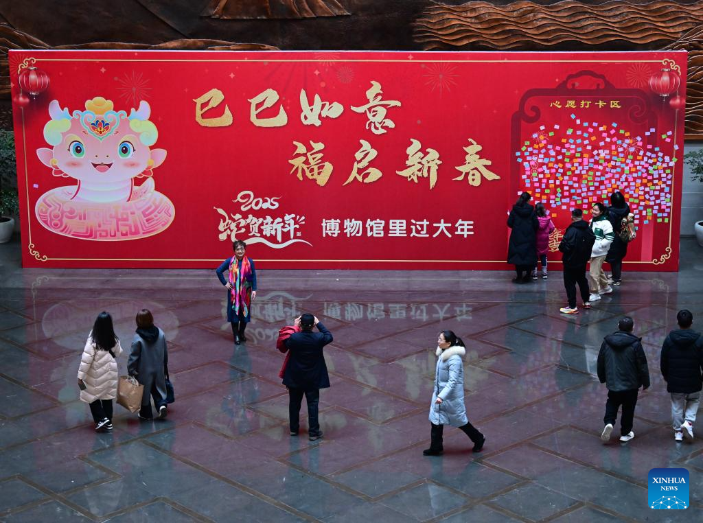 Celebrating Spring Festival in museums becomes new trend in China