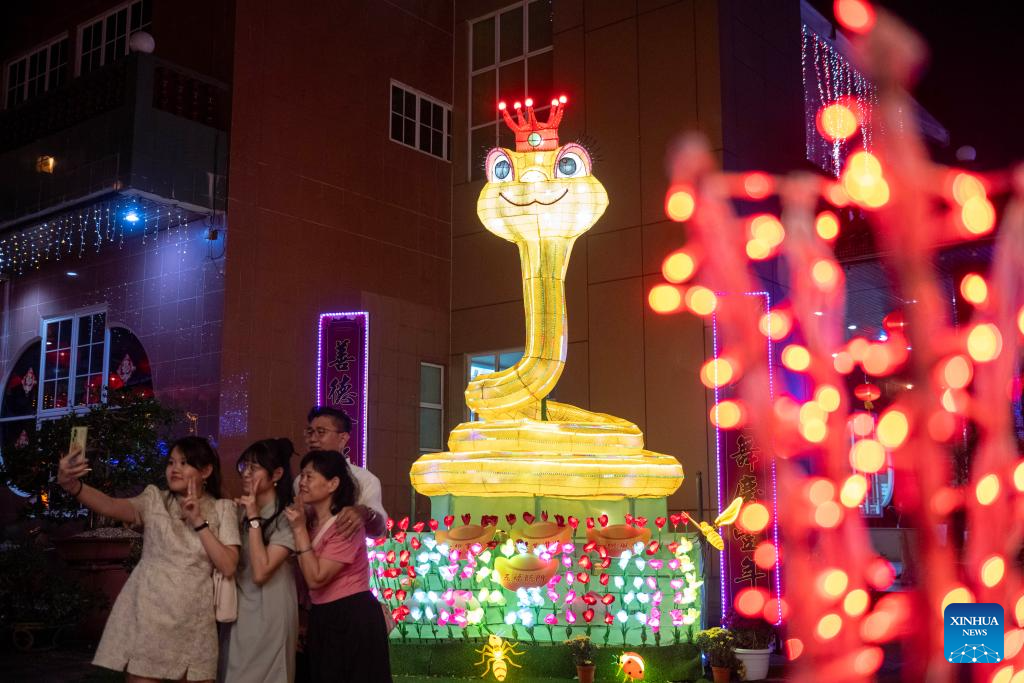 Chinese New Year celebrated across world