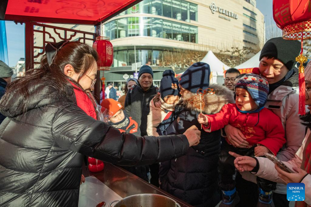 First Spring Festival temple fair opens in Frankfurt