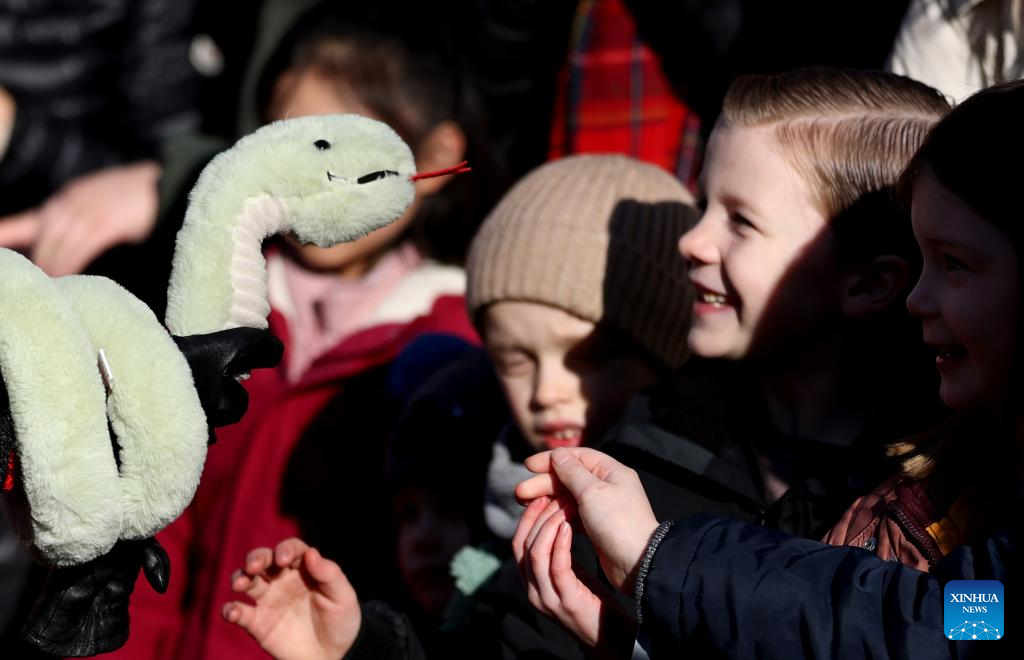 Various activities held in London to celebrate Chinese Year of Snake