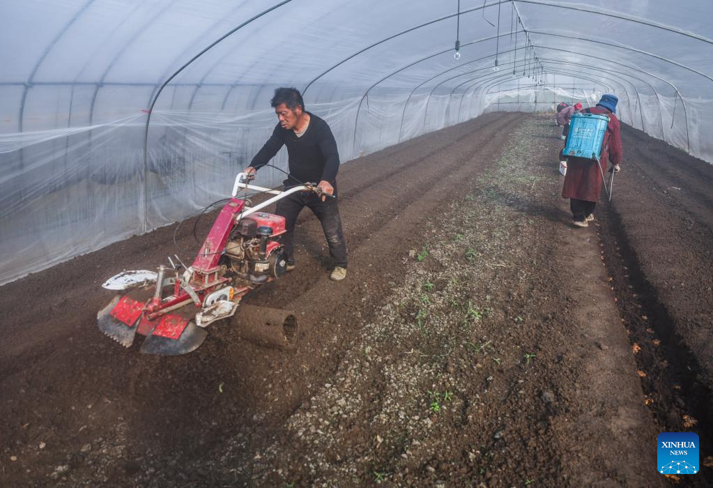 Farmers busy cultivating seedlings and sowing seeds in Jiaxing, E China