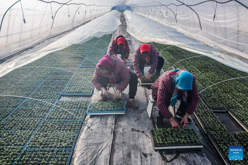 Farmers busy cultivating seedlings and sowing seeds in Jiaxing, E China