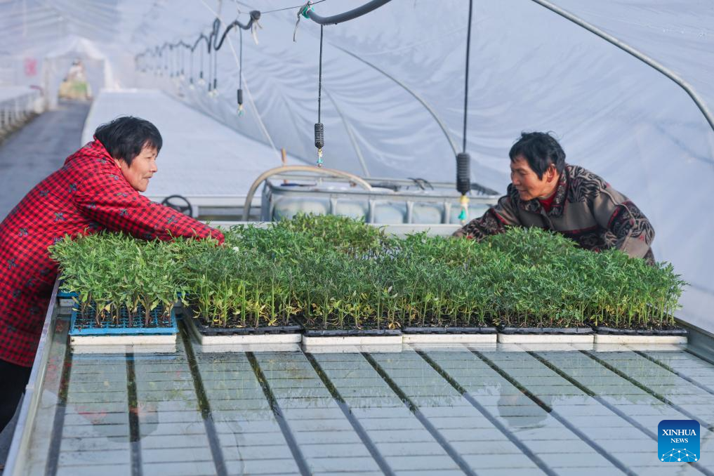 Farmers busy cultivating seedlings and sowing seeds in Jiaxing, E China