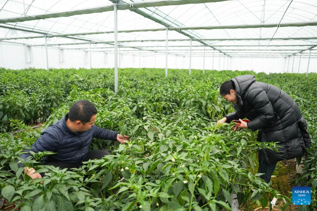 Building a hot business with hot peppers