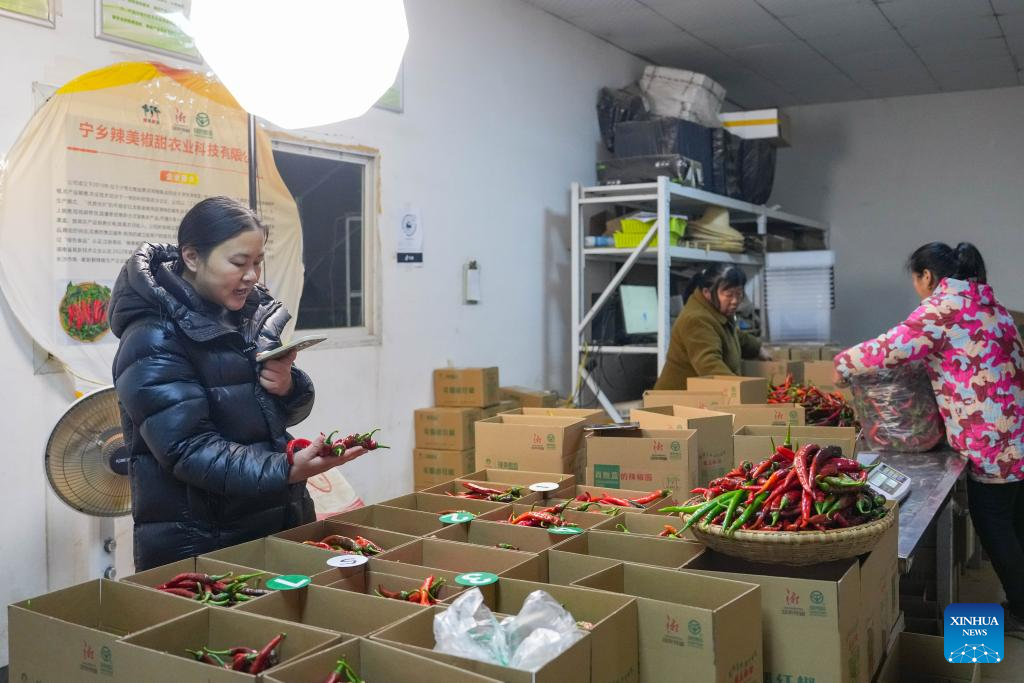 Building a hot business with hot peppers