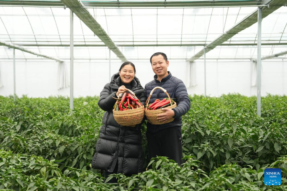 Building a hot business with hot peppers