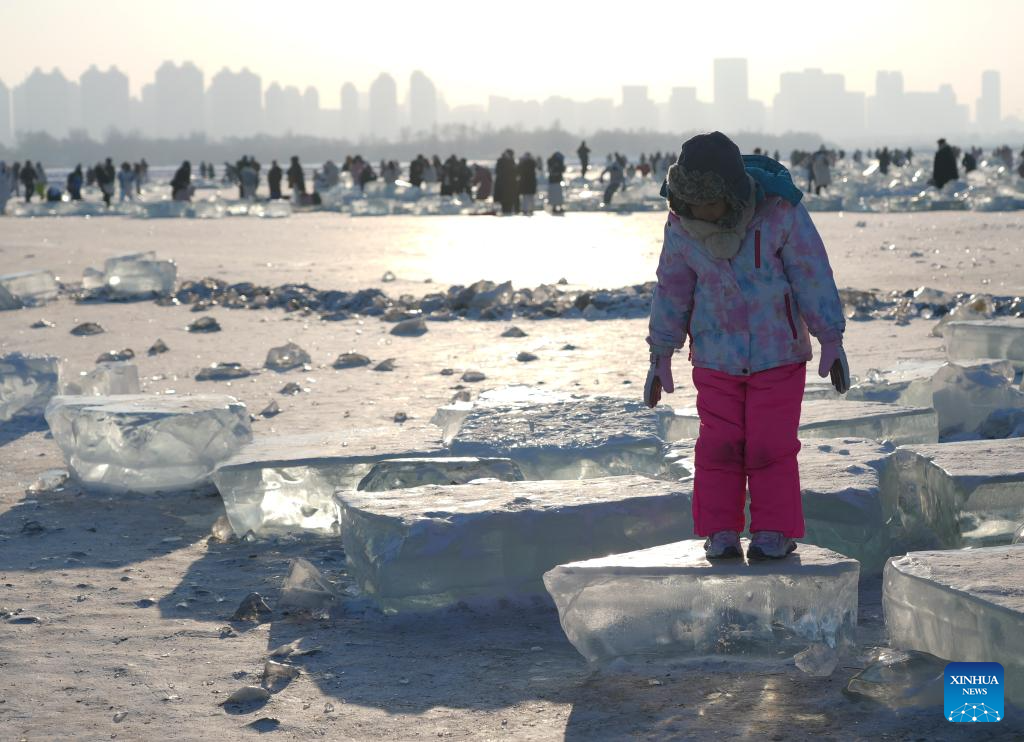 In pics: Harbin, host city of 9th Asian Winter Games