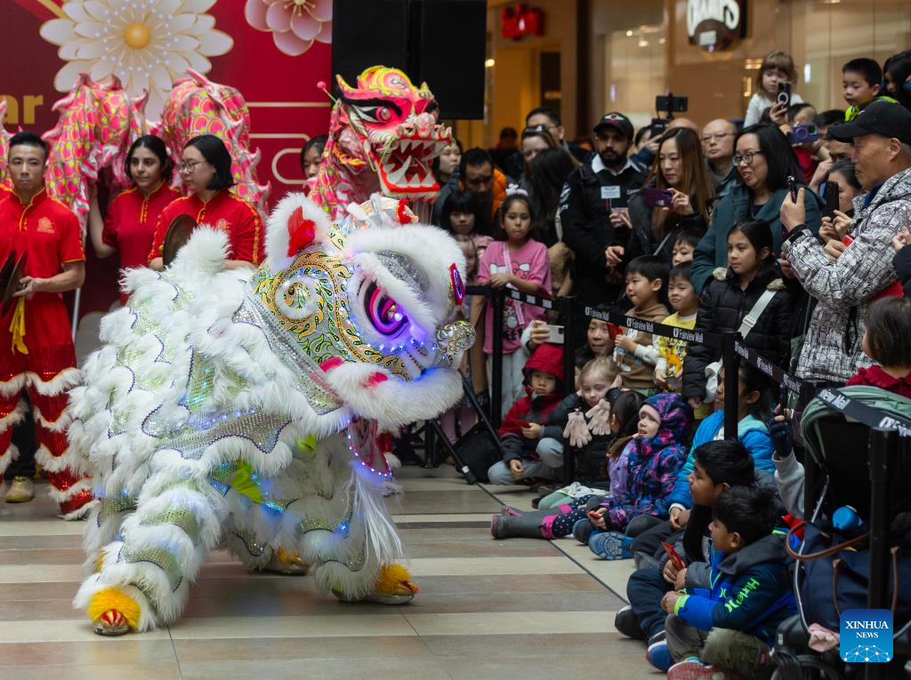 Chinese New Year celebration held in Toronto