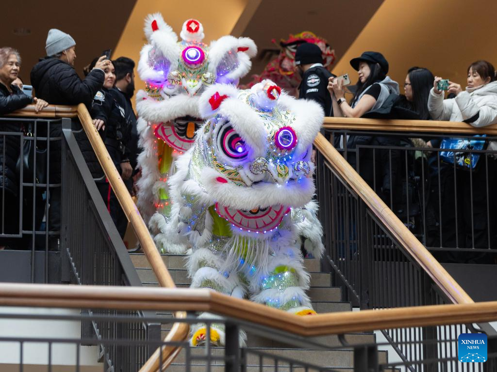 Chinese New Year celebration held in Toronto