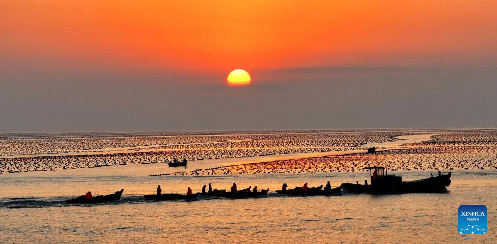 View of kelp breeding area in China's Shandong