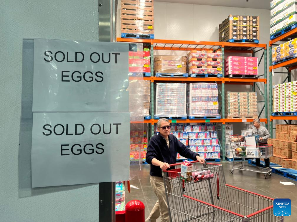 Widespread egg rationing sweeps U.S. stores amid bird flu crisis