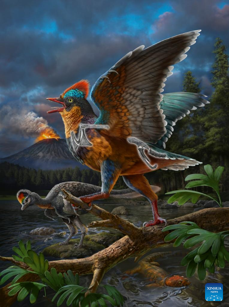 Jurassic fossil discovery in east China sheds new light on origin of birds