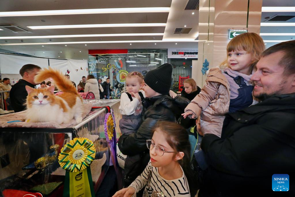 Int'l cat show held in Minsk, Belarus