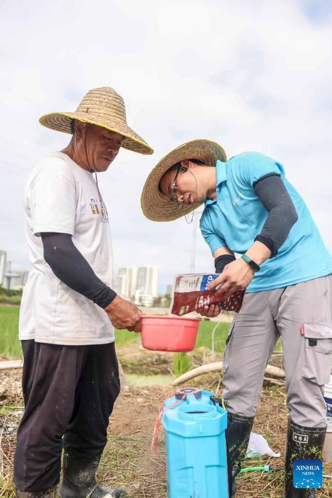 Researcher strives to cultivate saline-alkali tolerant rice in S China's Hainan