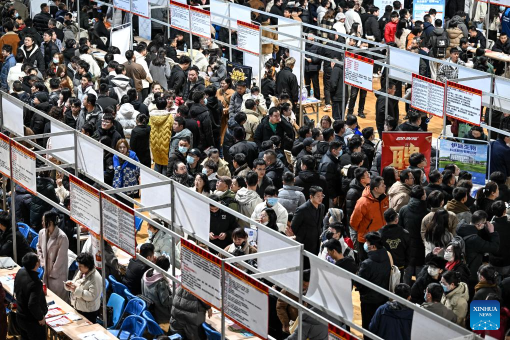 Job fair held in Yinchuan, China's Ningxia