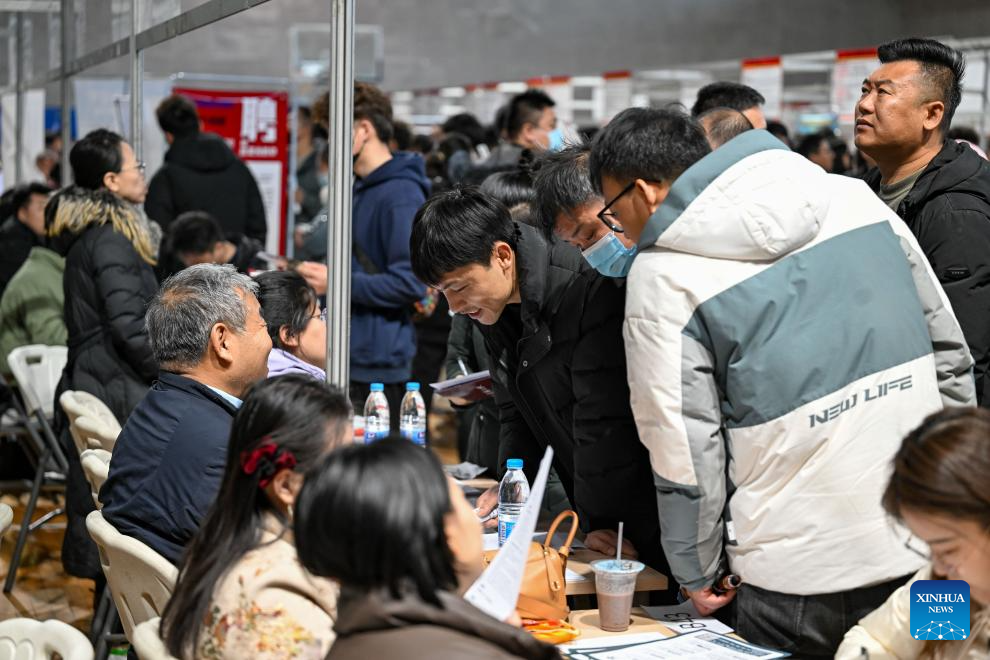 Job fair held in Yinchuan, China's Ningxia