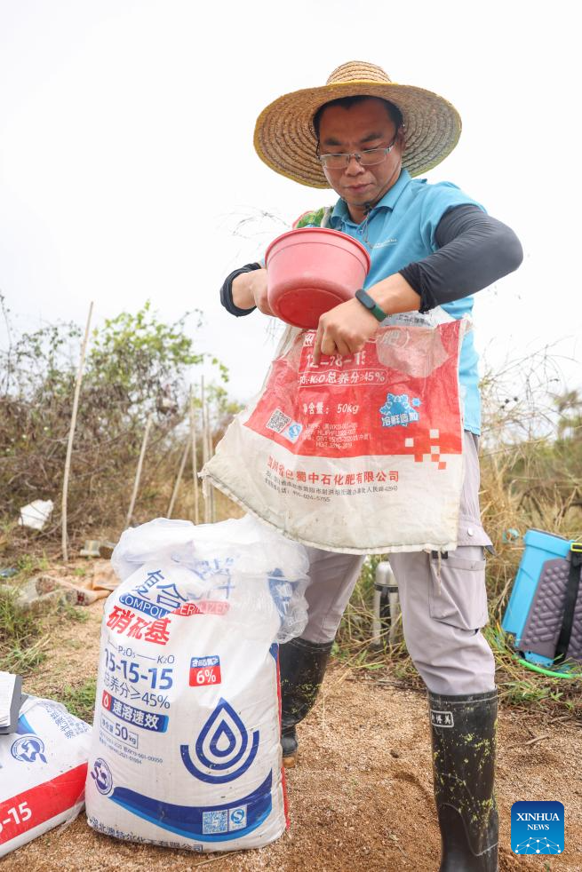 Researcher strives to cultivate saline-alkali tolerant rice in S China's Hainan