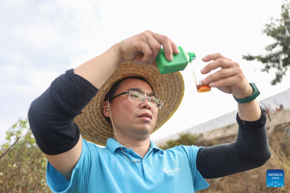 Researcher strives to cultivate saline-alkali tolerant rice in S China's Hainan