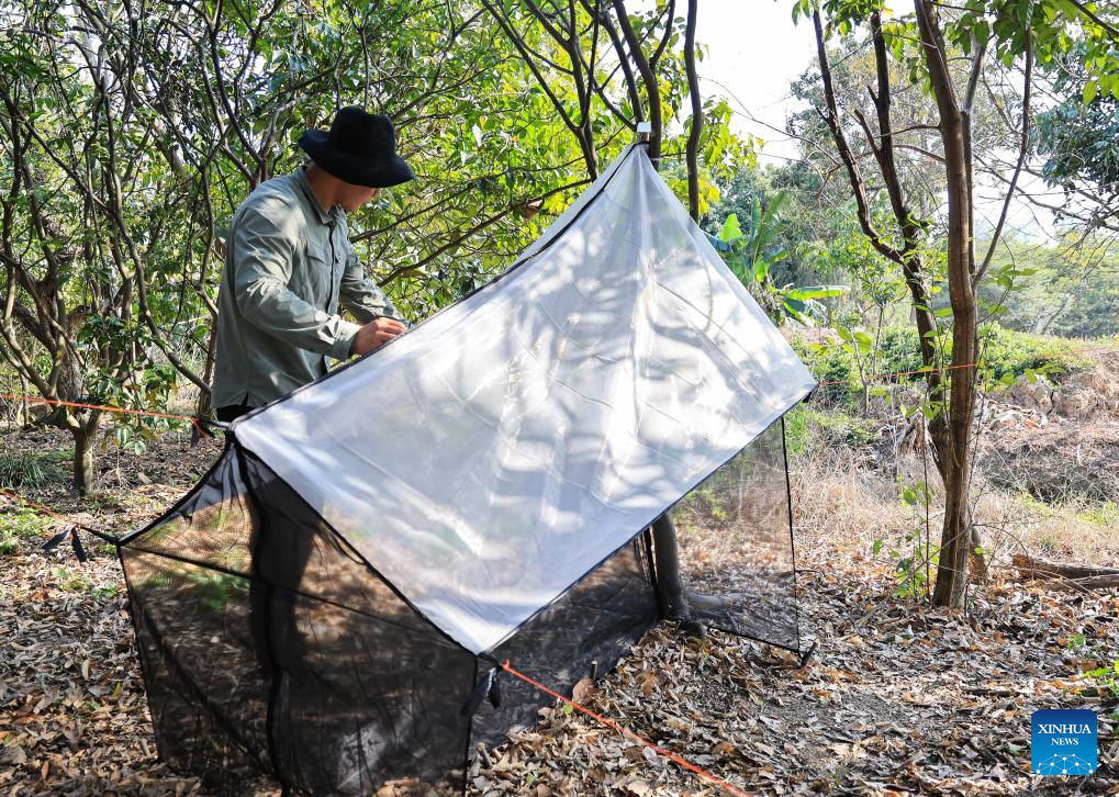 New insect species found in south China urban wetland