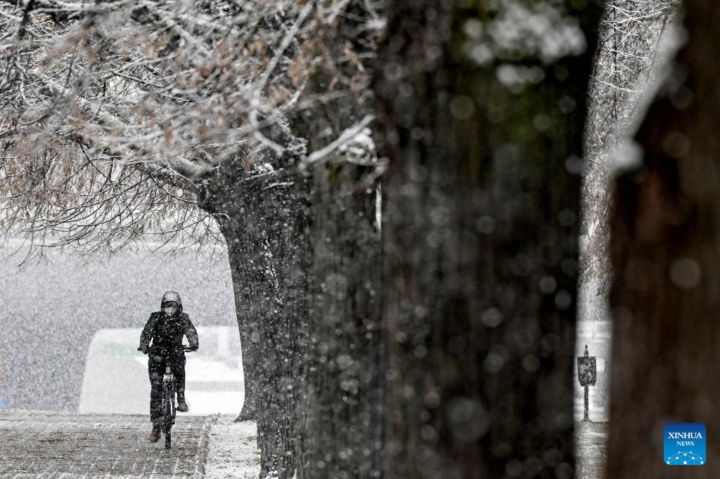 In pics: heavy snowfall in Skopje, North Macedonia