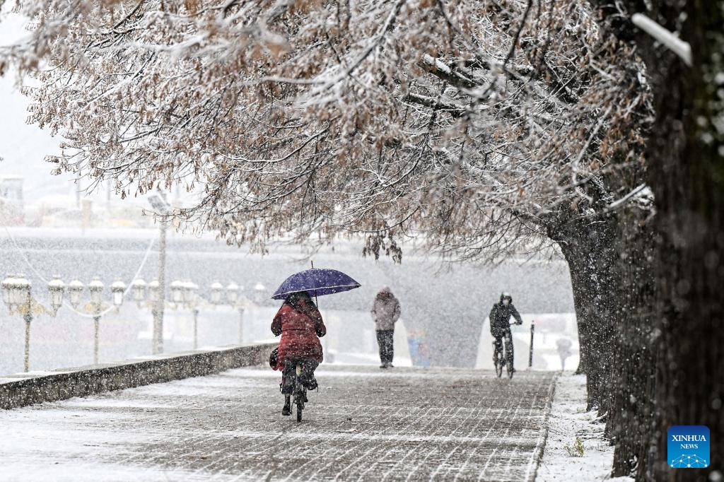 In pics: heavy snowfall in Skopje, North Macedonia