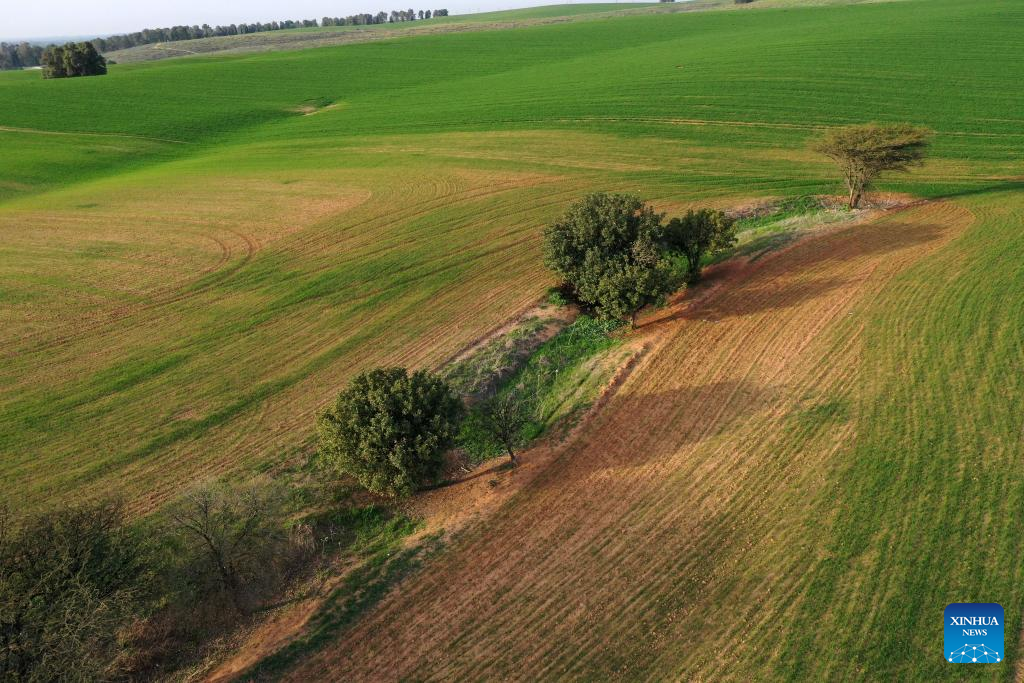 Scenery of Negev Desert in southern Israel