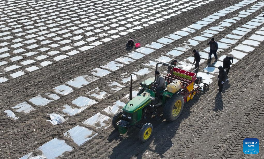 People busy in field on day of Rain Water in Tianjin