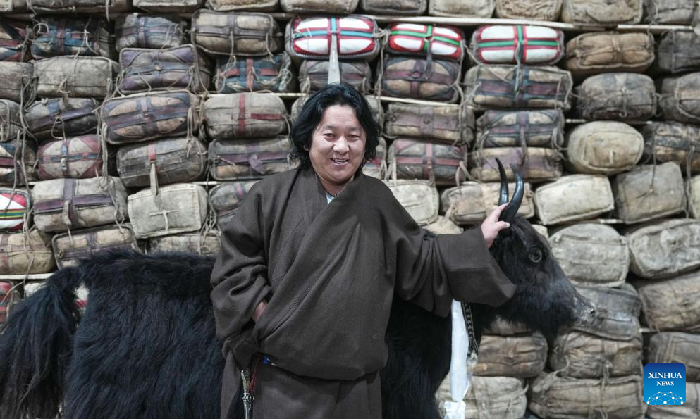 In pics: Tibetan-style teahouse in China's Nagqu