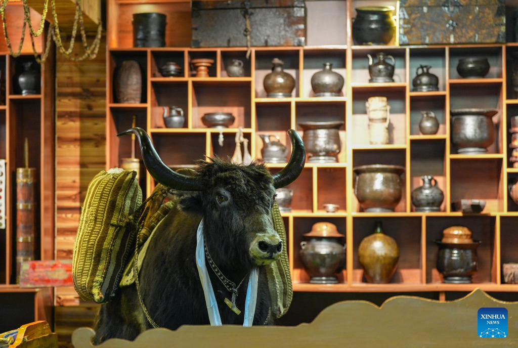 In pics: Tibetan-style teahouse in China's Nagqu